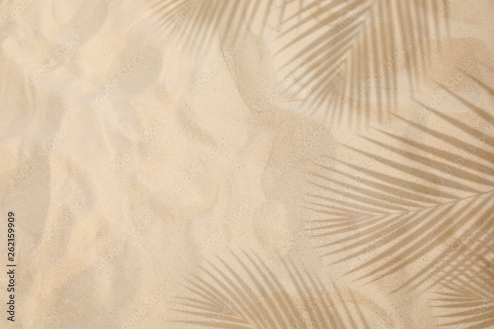 Selective focus of summer and holiday  backgrounds concepts with shadow of coconut leaf on clean sand beach - obrazy, fototapety, plakaty 