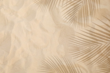 Wall Mural - Selective focus of summer and holiday  backgrounds concepts with shadow of coconut leaf on clean sand beach