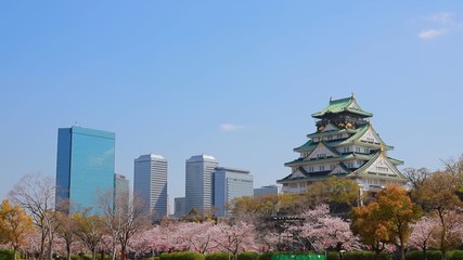 Wall Mural - 春の大阪城