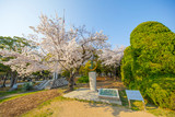 Fototapeta  - Hiroshima Peace Memorial Park 