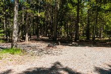Blackwoods Campground In Acadia National Park In Maine, United States