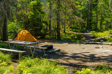 cougar rock campground in mount rainier national park in washington, united states