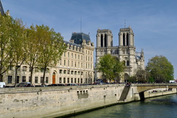 Wall Mural - Notre Dame de Paris et la Seine