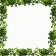 frame of green leaves background
