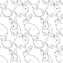 Vector Seamless Pattern With Hand Drawn Rabbits.