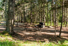 Seawall Campground In Acadia National Park In Maine, United States