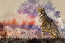 Watercolour Painting Of African Safari Concept Image Of Cheetah Looking Out Over Savannnah With Beautiful Sunset Sky