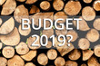 Writing note showing Budget 2019 Question. Business concept for estimate of income and expenditure for next year Wooden background vintage wood wild message ideas intentions thoughts