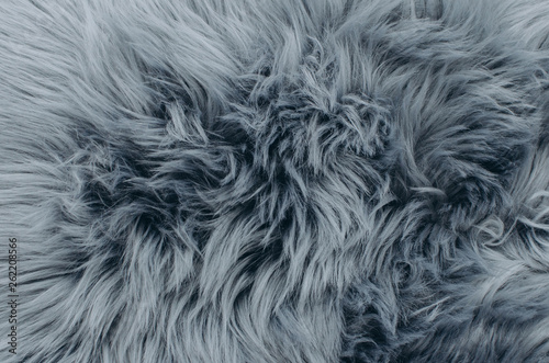 Close up shot of abstract fur background Poster Mural XXL