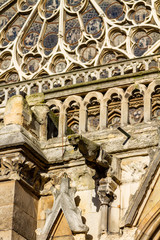 Wall Mural - notre dame paris