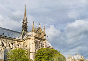 Sticker - Notre Dame facade framed by trees and blue sky, Paris, France