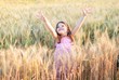 © Tetiana Ivanova - Beautiful little caucasian girl on a wheat field with ripe golden spike and sun backlit. Long haired cute preschooler girl in golden field at sunset. Happy little girl enjoying nature wheat field