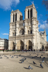 Wall Mural - Notre Dame Cathedral in Paris