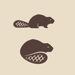 Beaver animal icon vector illustration