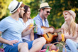 © ivanko80 - Happy friends on picnic in park