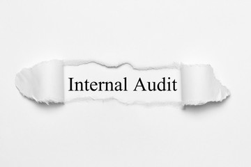 Poster - Internal Audit on white torn paper