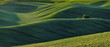 hilly field. picturesque hills. abstract spring field