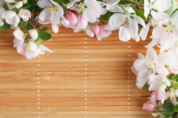  Frame of spring flowers of sakura on bamboo background. Beautiful cherry blossom sakura in springtime