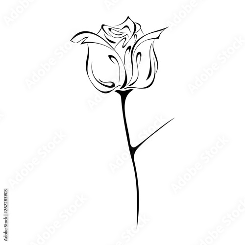 Stylized Rose Flower Bud On Stem With Single Spike In Black Lines On White Background Stock Vector Adobe Stock