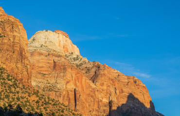 Canvas Print - Scenic Zion National Park Landscape