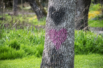 two hearts painted on trunk of a tree