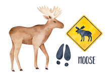 Moose Drawing Collection With Big Funny Animal, Black Track And Road Warning Sign. Hand Drawn Watercolour Painting On White Background, Cut Out Clipart Elements For Creative Design, Print, Stickers.