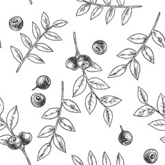 Vector vintage seamless floral pattern with blueberry isolated on white. Hand drawn botanical texture with forest berries in engraving style