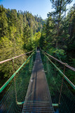 Fototapeta Sypialnia - foot bridge over forest river in summer