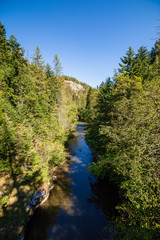 foot bridge over forest river in summer