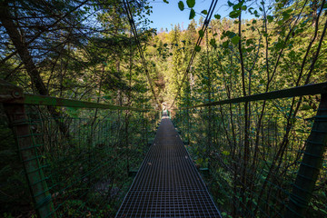  foot bridge over forest river in summer