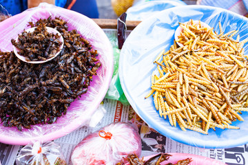 fried insects and crickets as delicacy on a market in northern thailand