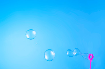 Poster - Soap bubbles floating in air
