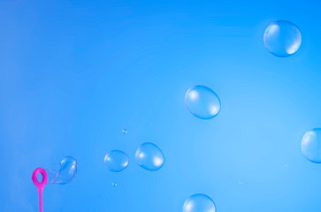 Poster - Soap bubbles isolated on blue background