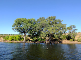 Wall Mural - Botswana, Zambezi River, Africa, Safari & Cruise