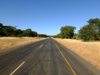 Poster - Botswana, Africa, Safari