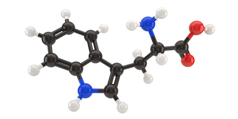 tryptophan molecule structure 3d illustration with clipping path