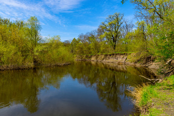 Wall Mural - spring day on river