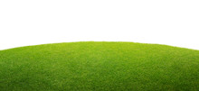 A Green Grass Isolated Background