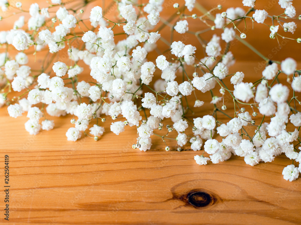 Foto Gypsophila Paniculata, Baby's breath flowers on wooden