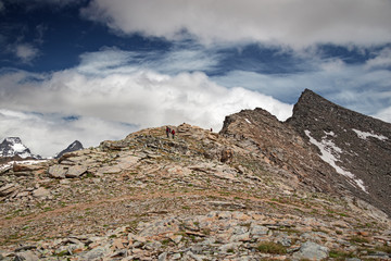Wall Mural - some mountaineers climb the ridge of punta violetta, in the gran paradiso park, in italy.