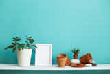 Fototapeta Przestrzenne - White shelf against pastel turquoise wall with pottery and succulent plant with potted schefflera plant.