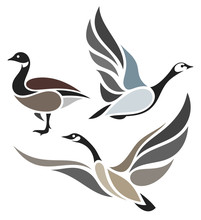 Stylized Birds - Wild Geese