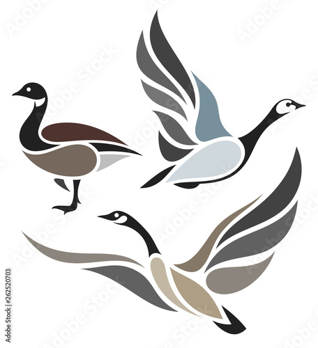 Fotografía Stylized Birds - Wild Geese