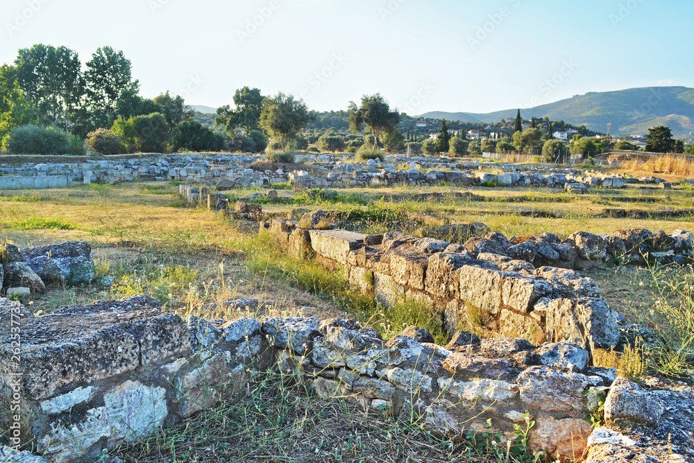 landscape of the ancient city of Eretria Euboea Greece 