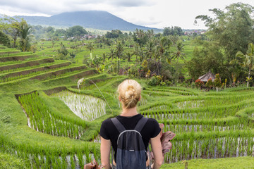 Casual caucasian female tourist wearing small backpack looking at beautiful green rice fields and terraces of Jatiluwih on Bali island, Indonesia.