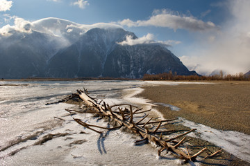 Wall Mural - Russia. Mountain Altai. The valley of the Chulyshman river flows into Teletskoye lake.