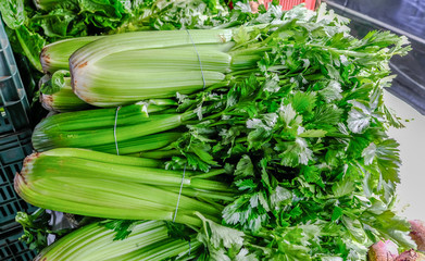 Large green celery plants for sale on a market stall.