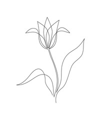 Wall Mural - minimal lovely illustration of a tulip drawn with a continuous line.