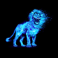 Wall Mural - Aggressive Lion in Blue Flames. Illustration on Black Background for Creative Designs