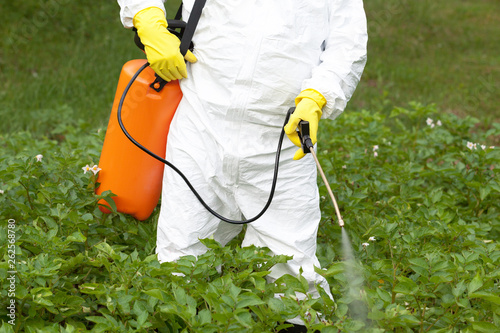 Fotomural Herbicide spraying. Non-organic vegetables.